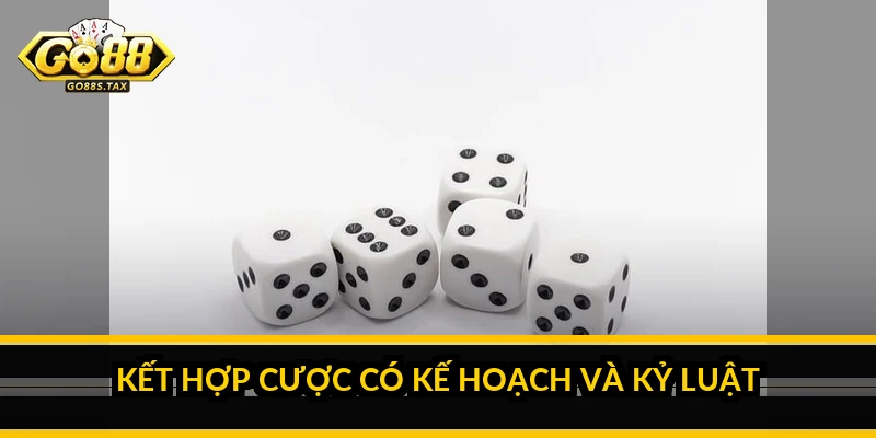 Kết hợp cược Bão và Tổng điểm Sic Bo Go88: hiểu đúng cách Kết hợp cược có kế hoạch và kỷ luật